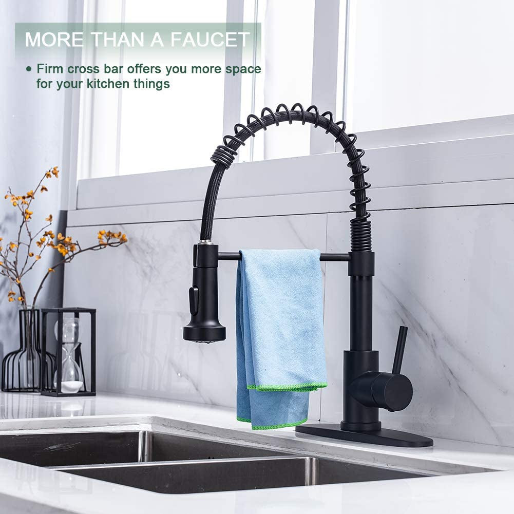 Stainless Steel Single Handle Sink Faucet, Matte Black